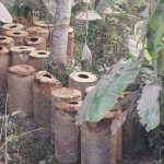 ভাঙ্গায় ৪০ ড্রাম বিটুমিন ডাকাতি