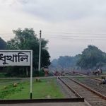 মধুখালী‌তে ট্রেনে কাটা পড়ল যমজ দুই ভাই